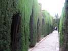 gal/2007-05 Espagne/Photos Roxanne/_thb_DSCN099.JPG
